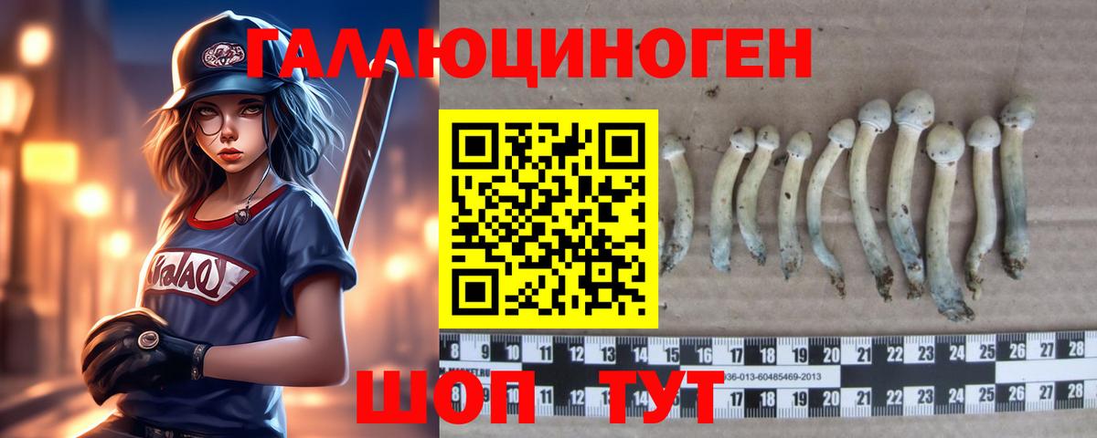Галлюциногенные грибы Psilocybine cubensis Знаменск