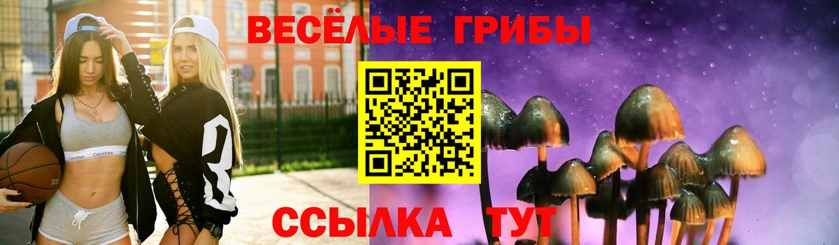 Знаменск  Галлюциногенные грибы Magic Shrooms  Вход с VPN 
