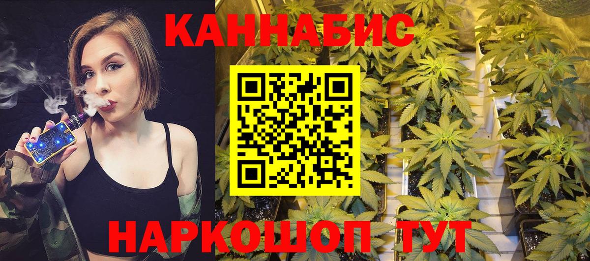 Шишки марихуана план Знаменск